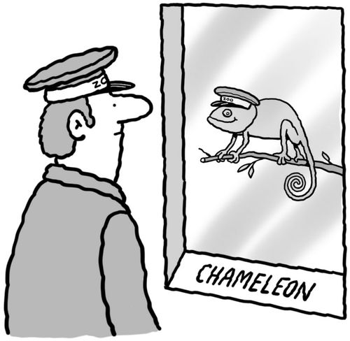 Chameleon 