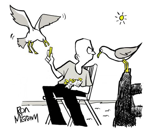 Seagulls