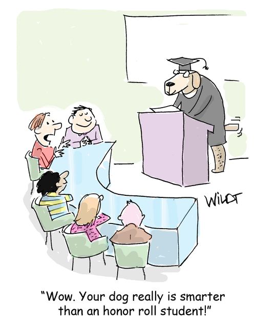 "Wow! Your dog really is smarter than an honor roll student!"