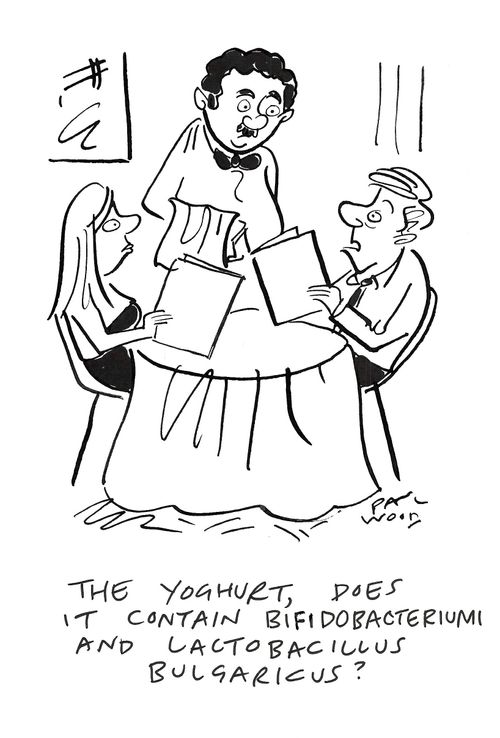 "The yoghurt, does it contain bifidobacteriumi and lactobacillus bulgaricus?"