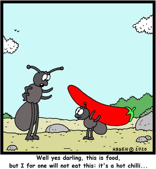 "Well yes darling, this is food, but I for one will not eat this: it's a hot chilli..."