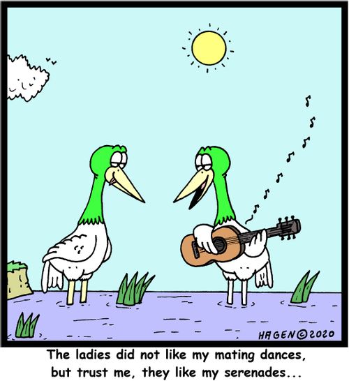 "The ladies did not like my mating dances, but trust me, they like my serenades..."