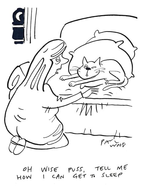 "Oh wise puss, tell me how I can get to sleep."
