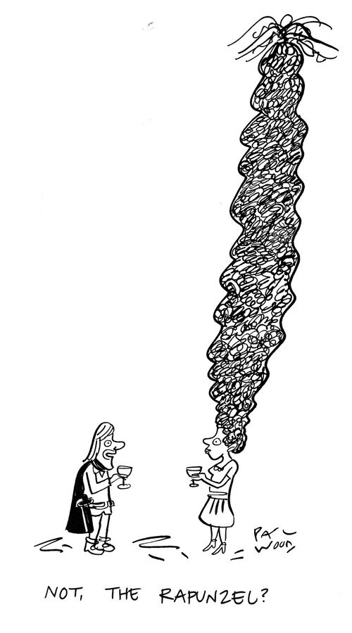 "Not, the Rapunzel?"
