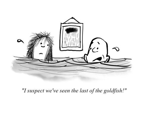 "I suspect we've seen the last of the goldfish!"