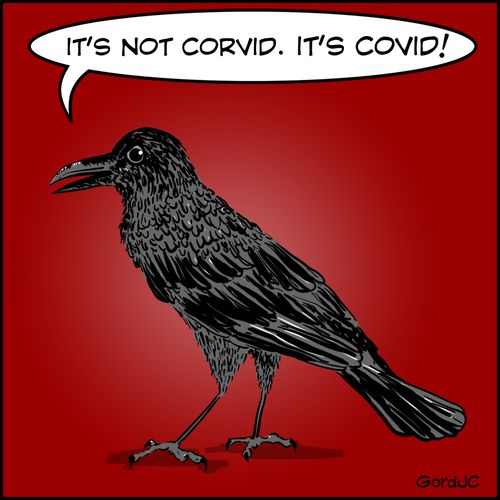 "It's not corvid. It's covid!"