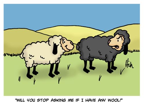 "Will you stop asking me if I have any wool!"