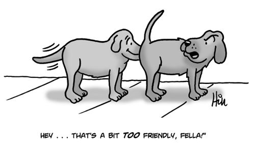"Hey. . . that's a bit too friendly, fella!"