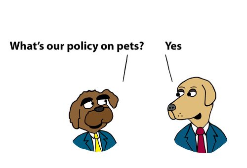"What's our policy on pets?"