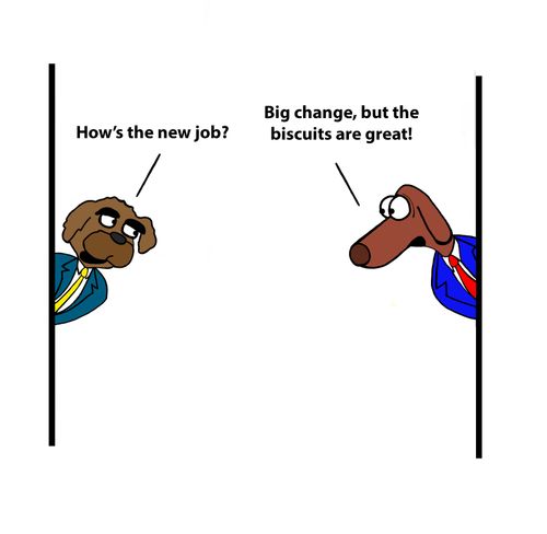 "How's the new job?"