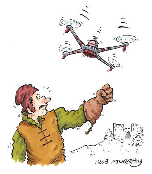 Drone Falconer