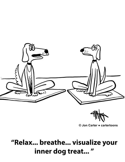 'Relax... breathe... visualize you inner dog treat...'