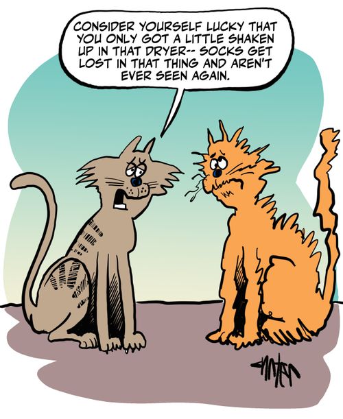 "Consider yourself lucky that you only got a little shaken up in that dryer--socks get lost in that thing and aren't ever seen again.'