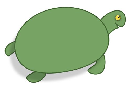 Tortoise