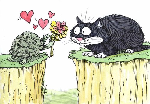 A tortoise in love with a cat