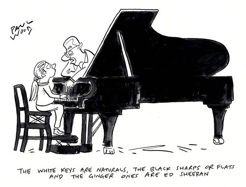 "The white keys are naturals, the black sharps or flats and the ginger ones are Ed Sheeran."