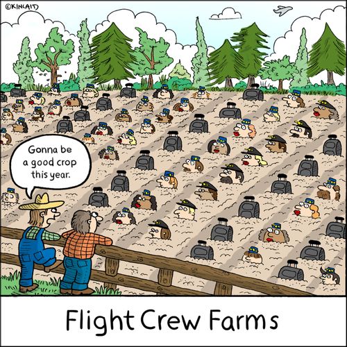"Gonna be a good crop this year."