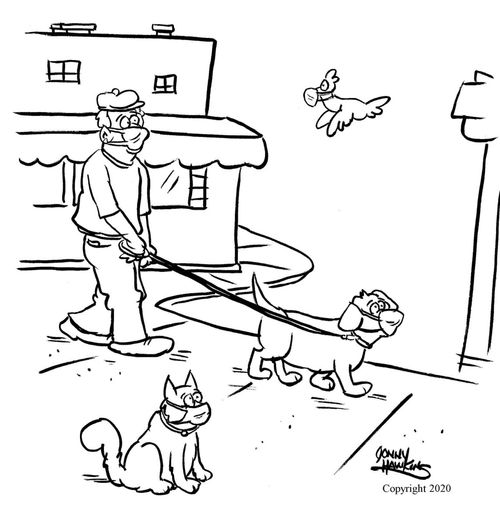 Coronavirus: Man walking dog has masks as do animals around him.