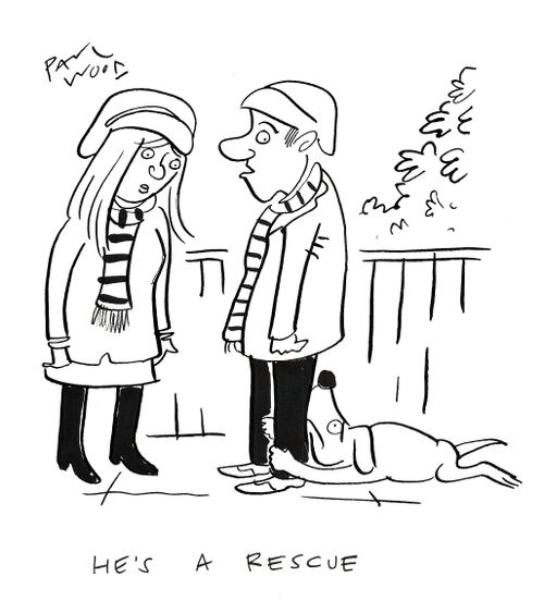 "He's a rescue."