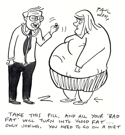 "Take this pill and all your 'bad fat' will turn into 'good fat'....only joking, you need to go on a diet."