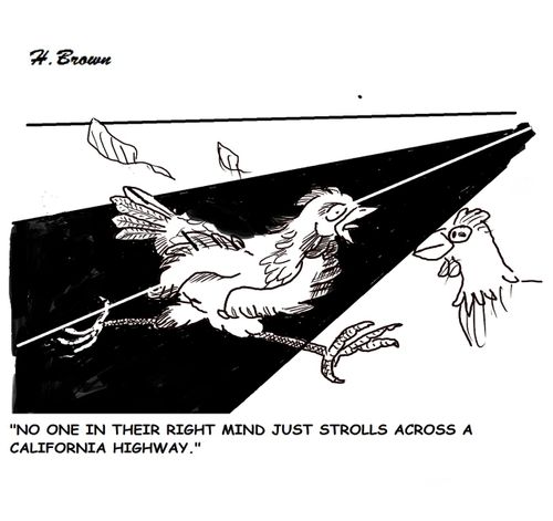 "No one in their right mind just strolls across a California highway."