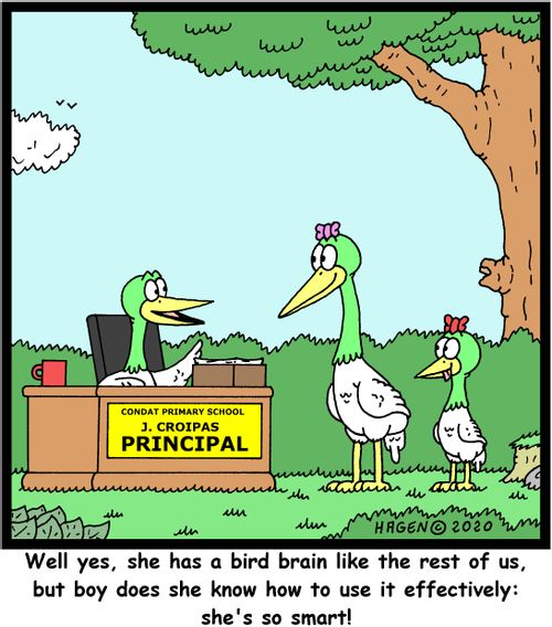 "Well yes, she has a bird brain like the rest of us, but boy does she know how to use it effectively: she's so smart!"