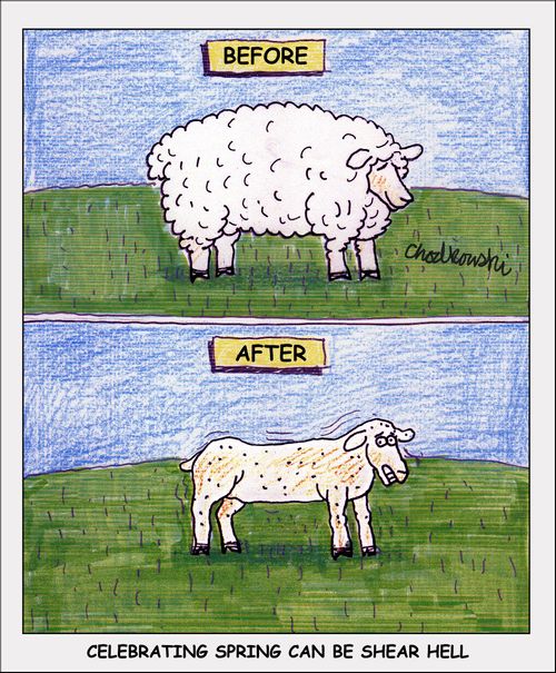 Celebrating Spring Can Be Shear Hell