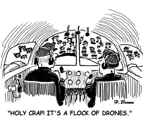 "Holy crap! It's a flock of drones."
