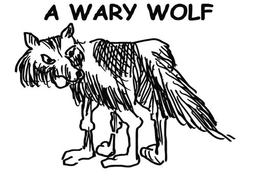 A Wary Wolf
