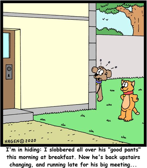 "I'm in hiding: I slobbered all over his "good pants" this morning at breakfast. Now, he's back upstairs changing, and running late for his big meeting..."