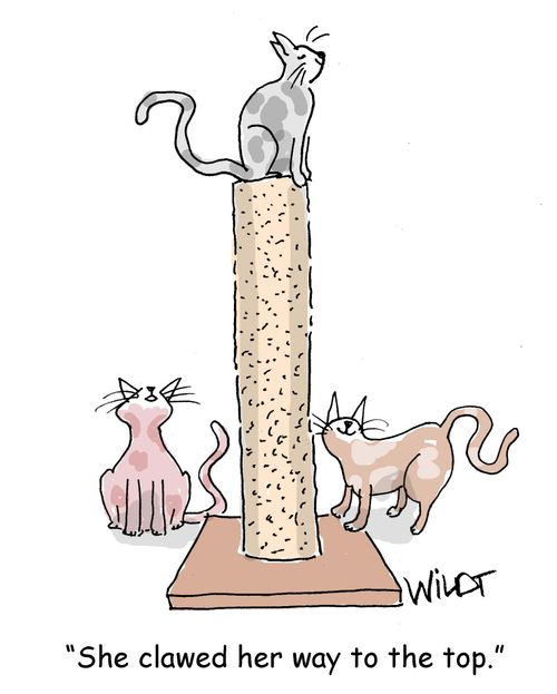 "She clawed her way to the top."