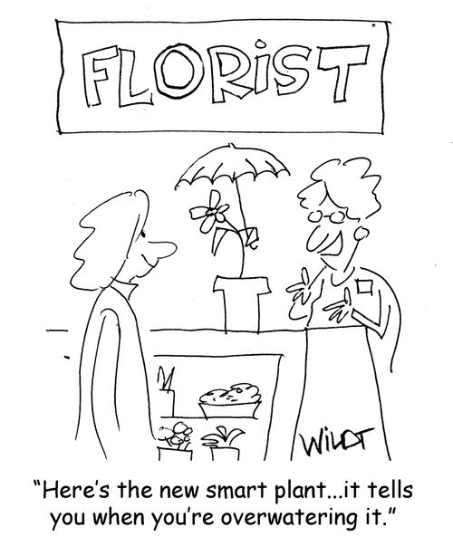 "Here's the new smart plant...it tells you when you're overwatering it."