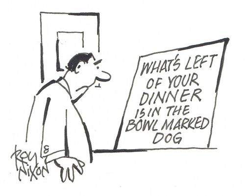 What's Left Of Your Dinner IS In The Bowl Marked Dog