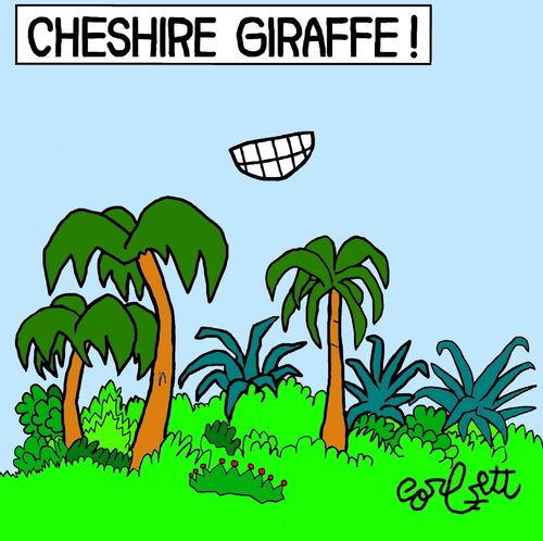 Cheshire giraffe!
