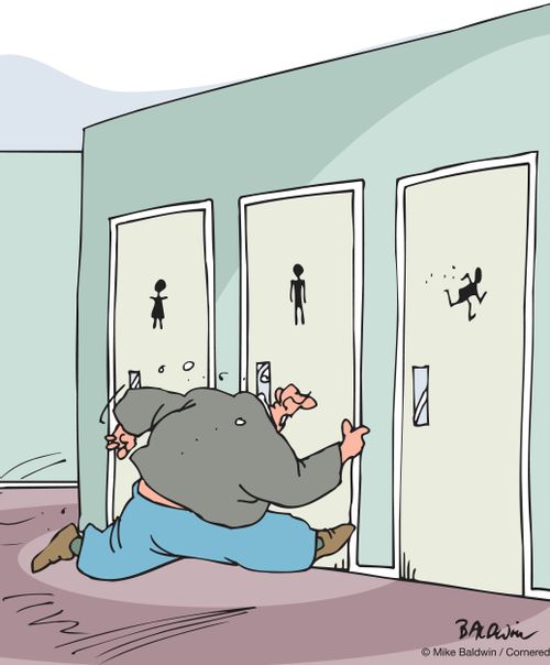 Symbols on bathroom doors. Women, men, runner