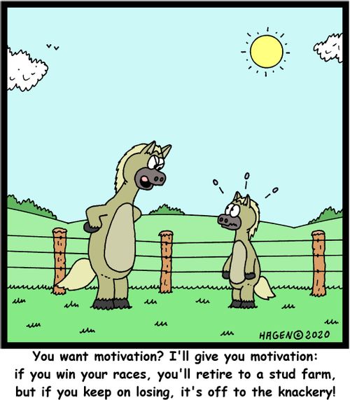 "You want motivation? I'll give you motivation: if you win your races, you'll reture on a stud farm, but if you keep on losing, it's off to the knackery!"