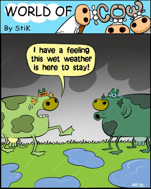 "I have a feeling this wet weather is here to stay!."