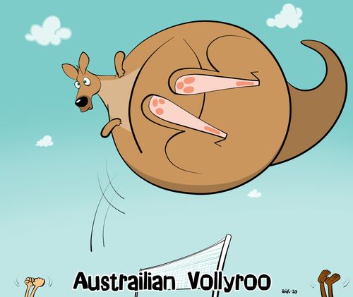 Austrailian Vollyroo
