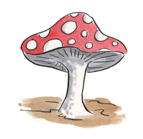 Toadstool