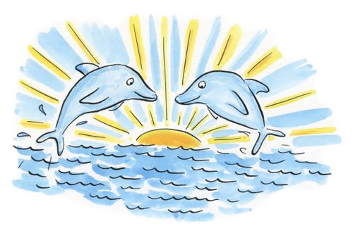 Dolphins