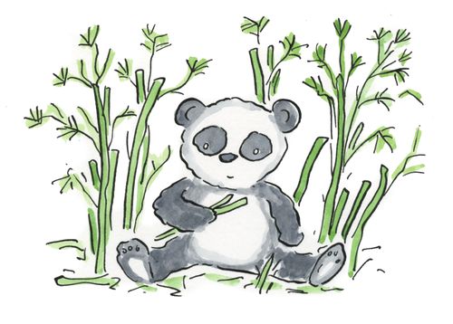 Panda