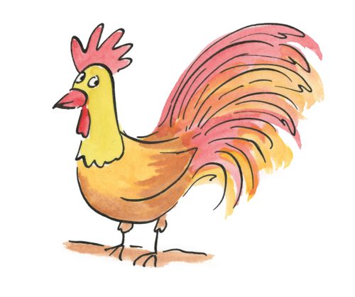 Rooster