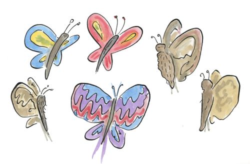 Butterflies and moths