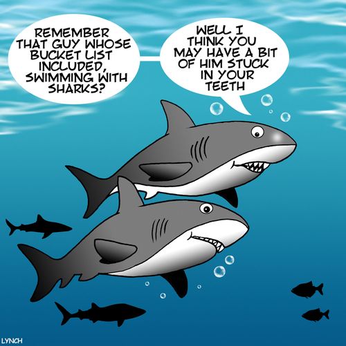 "Remember that guy whose bucket list included, swimming with sharks?"
