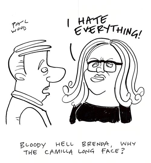 "Bloody Hell Brenda, why the Camilla Long face?"