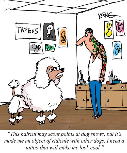 "This haircut may score points at dog shows, but it's made me an object of ridicule with other dogs. I need a tattoo that will make me look cool."