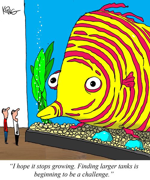 "I hope it stops growing. Finding larger tanks is beginning to be a challenge."