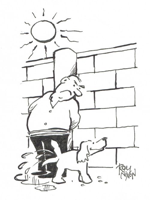 Urinating Dog