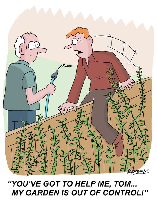 "You've got to help me, Tom... my garden is out of control!"