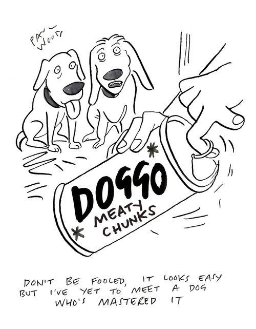 "Don't be fooled, it looks easy but I've yet to meet a dog who's mastered it."